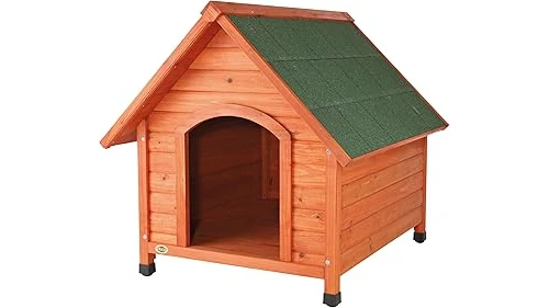 The image shows various types of wood suitable for building a dog house, highlighting the best 10 wood options.