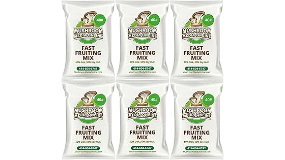 Best 10 Wood for Oyster Mushrooms