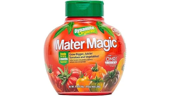 The image shows a healthy Thuja Green Giant tree with vibrant foliage, suggesting ideal growth with the best fertilizers.