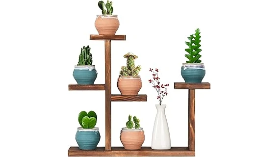 The image shows three lush green plants on a bedside table, ideal for bedroom oxygen.