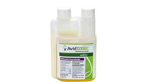 Best 5 Predatory Mites for Spider Mites