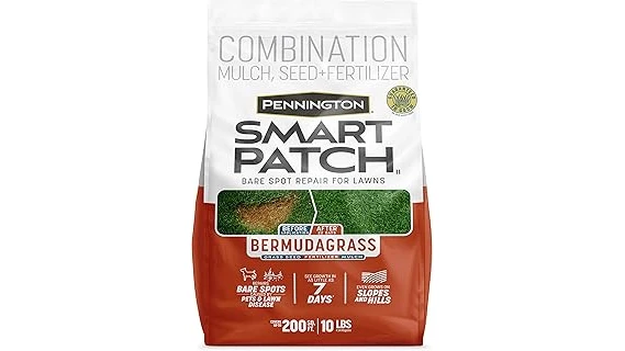 The image shows a lush, green lawn seeded with Bermuda grass, ideal for overseeding.