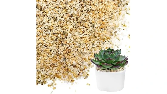 The image shows a lush, green Bermuda grass lawn, highlighting the benefits of using the best sand.