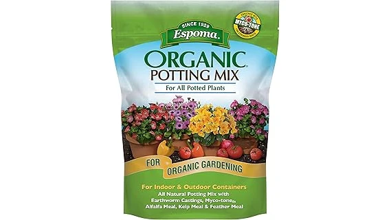 The image shows a lush Philodendron Birkin plant potted in a well-draining soil mixture, showcasing the best 8 soil options.