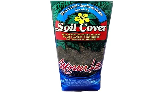 This image shows lush green cover crop growing vigorously in dark, rich clay soil.