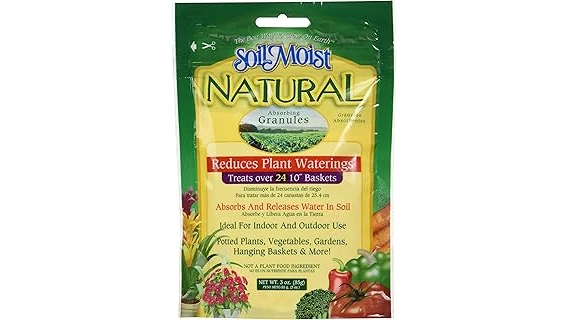 This image shows a healthy Stromanthe Triostar plant thriving in premium potting mix.