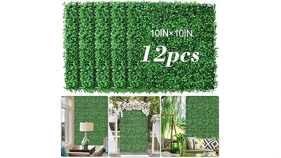 Best Selling 10 Bush for Privacy Hedge