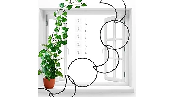 Best Selling 10 Climbing Plants for Front of House