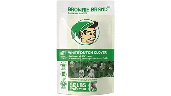 The image shows a lush ground cover with vibrant green clover, highlighting the best selling 10 clover variety.