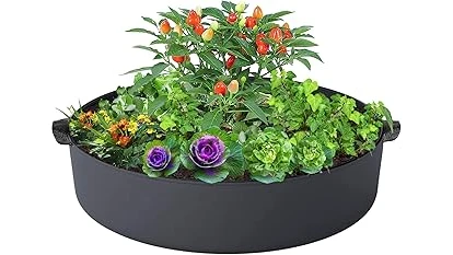 The image shows vibrant potted plants thriving in containers, perfect for full sun gardening.