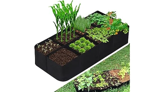 Best Selling 10 Containers for Growing Lettuce