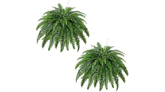 The image shows a vibrant collection of potted plants thriving in bright sunlight on a deck.