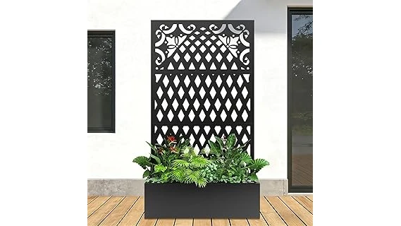 The image shows a lush, green privacy hedge perfect for creating a secluded outdoor space.