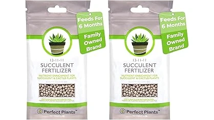 The image shows a collection of various fertilizer bottles suitable for cactus and succulents.