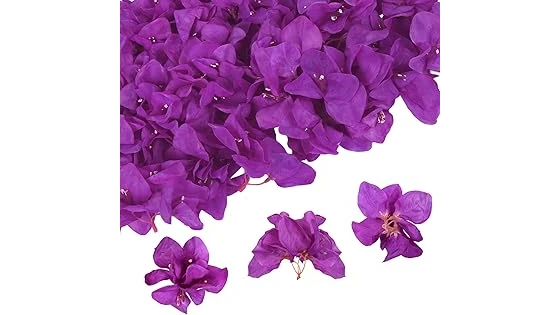 The image shows a vibrant bouquet showcasing some of the best selling flowers perfect for afternoon sun gardens.