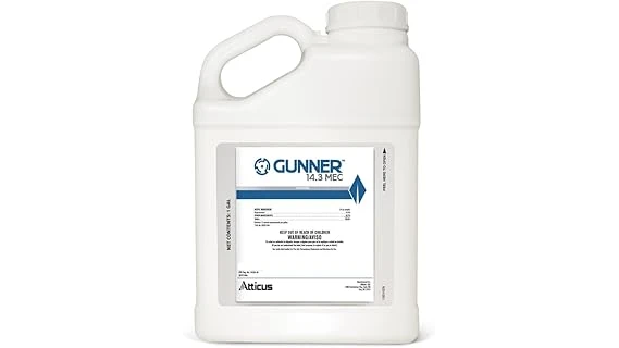 The image shows a gardener applying a liquid fungicide to soil, likely a Best Selling 10 Fungicide for Pythium Root Rot.