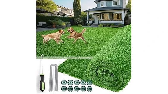 The image shows lush, green grass thriving in a deeply shaded garden area, perfect for the best selling 10 grasses for heavy shade.