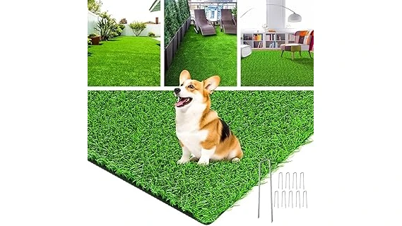 The image shows lush green grass varieties thriving in sunny conditions, perfect for hot climates.