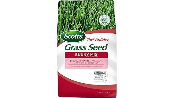 The image shows a lush green lawn, a healthy example of the best selling 10 grasses for sun and heat.