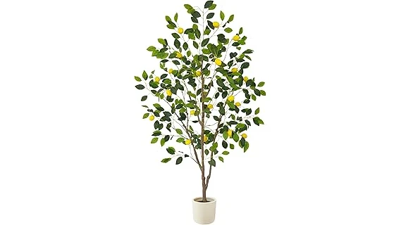 Best Selling 10 Lemon Tree for Indoors