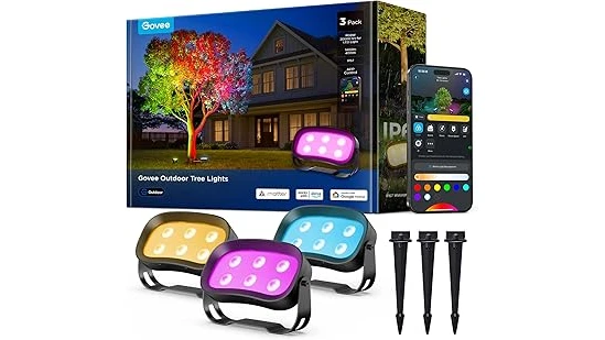 This image shows a beautifully illuminated tree at night with outdoor spotlights.