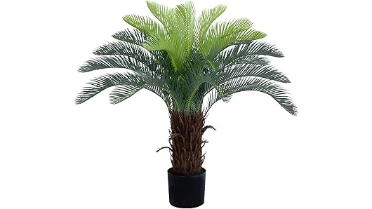 The image shows a collection of lush, vibrant palm plants ideal for outdoor container gardening.