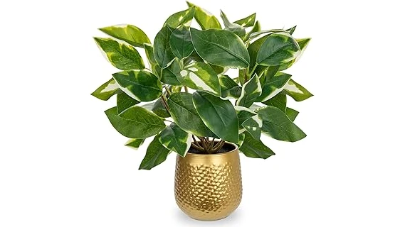 The image shows a collection of lush, vibrant plants thriving in a dimly lit bathroom environment.