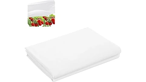 The image shows a vibrant collection of popular plants thriving in direct sunlight, perfect for any garden.