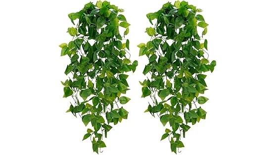 The image shows a vibrant hanging basket filled with lush green plants, showcasing the best selling 10 plants for baskets.