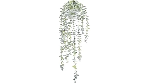 The image shows a collection of lush, green plants thriving indoors, perfect for a windowless office.