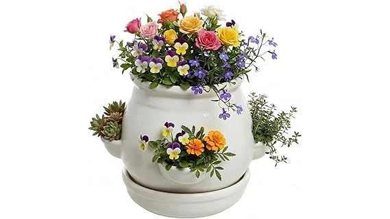 The image shows a collection of stylish planters perfect for housing hens and chicks succulents.