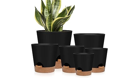 The image shows a collection of stylish planters perfect for showcasing beautiful peace lilies.
