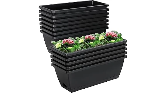 Best Selling 10 Plants for Box Planters