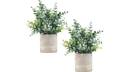 The image shows a vibrant kitchen windowsill adorned with several popular plants, ideal for a kitchen window.