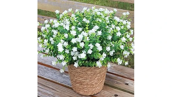 Best Selling 10 Plants for Planters in Full Sun