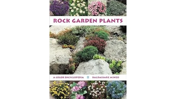 Best Selling 10 Plants for Rock Gardens