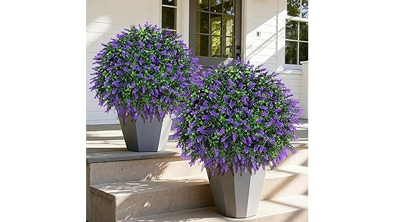 The image shows a selection of vibrant, leafy plants ideal for shaded porch settings, perfect for the best-selling list.