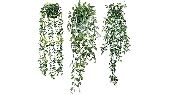 The image shows lush green plants thriving along the side of a house, showcasing best-selling options for that space.