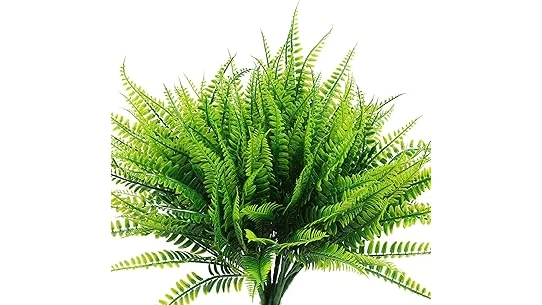 The image shows an assortment of lush, thriving plants perfect for a bright, sunny south-facing window.