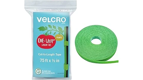 Best Selling 10 Plants for a Trellis