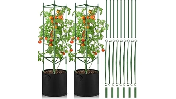Best Selling 10 Pot Size for Tomatoes