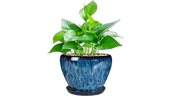 The image shows a collection of ten stylish pots, ideal for showcasing thriving pothos plants.