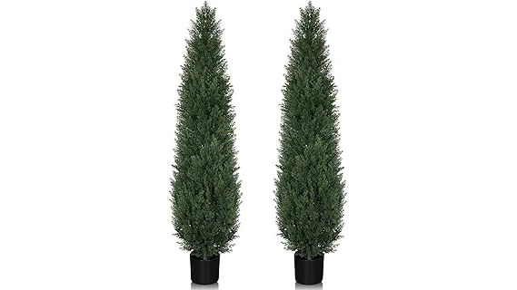 The image shows a variety of potted trees suitable for patios, perfect for a best-selling collection.