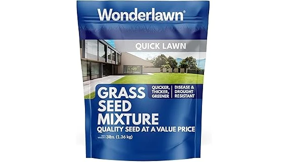 Best Selling 10 Price for Grass Seed