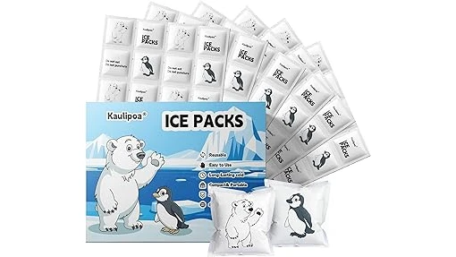 Best Selling 10 Reusable Ice Packs for Coolers