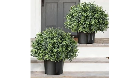 The image shows a vibrant display of various rose bushes, perfect for a front of house planting.