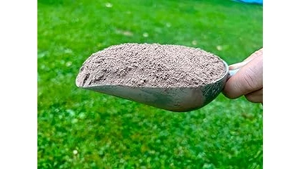Best Selling 10 Seed for Clay Soil