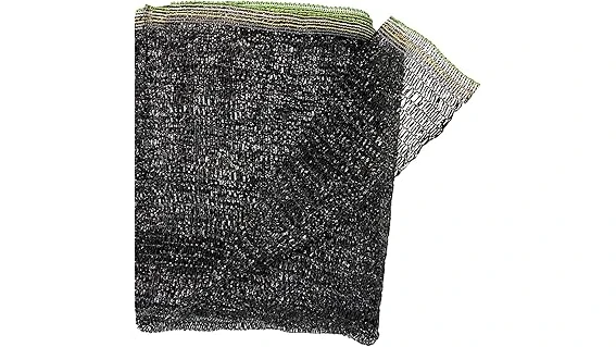 The image shows a lush, green shrub thriving in a shady garden setting, perfect for full shade.