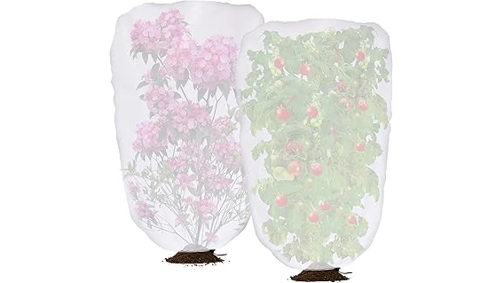 This image shows a lush variety of popular shrubs thriving in a shady garden setting.