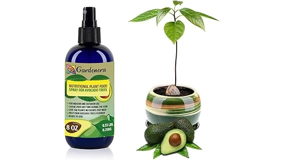 Best Selling 10 Soil for Avocado Tree in Pot